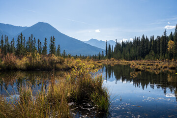 Fototapeta premium view of the trees over the vermillion lakes in banff