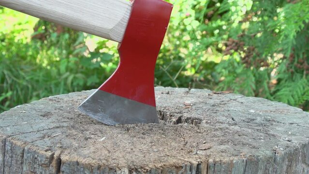 Lumberjack workers throw an ax into a raw wood tree after finishing and start their work