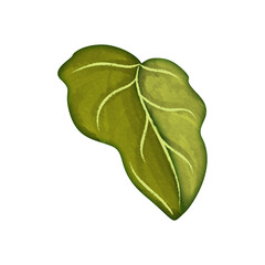 Watercolor green leaf botanical element clipart