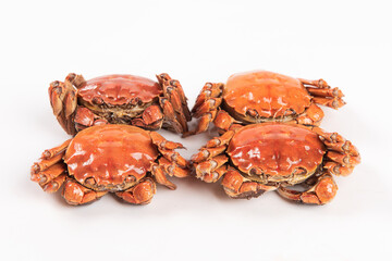 cooked Chinese mitten crab or hairy crabs isolated on white background.