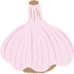 Hand drawn style illustration Garlic