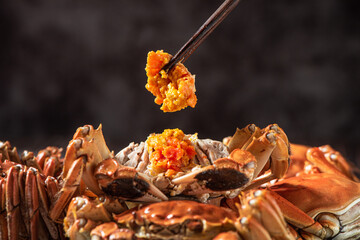 Fresh and delicious hairy crab or chinese mitten crab with crab roe background