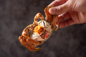 hand hold a deliclous hairy crab with crab roe close up.