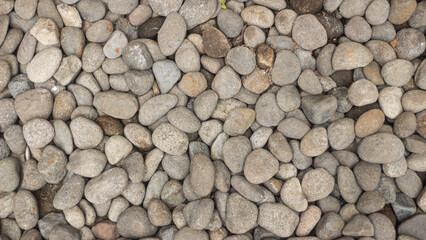 A dry stone on a tropical island