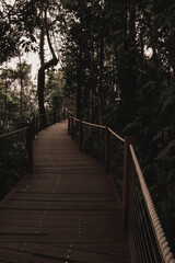 Kuranda rainforest walk way