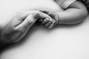 Close-up little hand of child and palm of mother and father. The newborn baby has a firm grip on the parent's finger after birth. A newborn holds on to mom's, dad's finger. Black and white photo. - obrazy, fototapety, plakaty