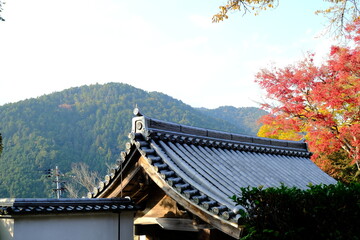 秋，紅葉，京都，日本，日本庭園，風景, ，旅行， 建築，自然，木，背景，黄色，庭, ，光，観光スポット, 寺, 古い, 古代の