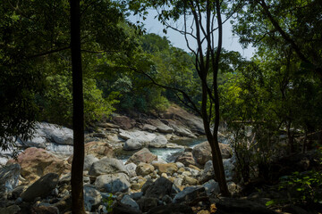 Kunthipuzha at Virgin valley