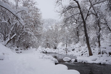 winter in boulder creek