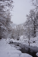 winter in boulder creek
