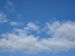 Obraz premium 東京のそら(22.11.14)