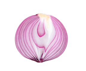onion on transparen png