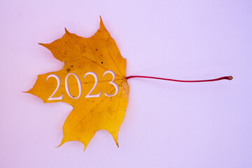 Autumn leaves, objects with the number 2023. Natural patterns, color design.