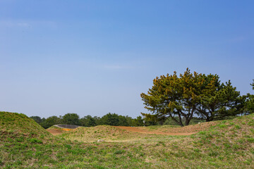 Sunny view of the landscape in the lakeside park