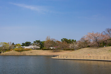 Sunny view of the West Lake landscape in the lakeside park