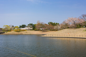 Sunny view of the West Lake landscape in the lakeside park