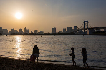Fototapeta premium Sunny view of the Rainbow Bridge and cityscape