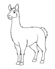 Llama Cartoon Animal Illustration BW