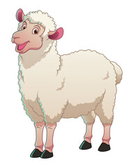 White Sheep Cartoon Animal Illustration