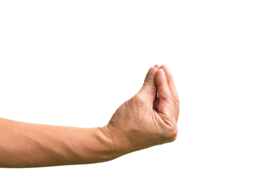 Pinched fingers gesture. Isolated italian hand Ma Che Vuoi or finger purse sign. On white background. - Powered by Adobe