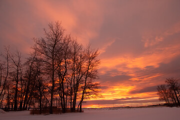 Colorful orange and purple sunset in canadian prairies in winter.