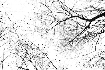 Bare tree branches on a pale white background