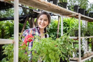 Charming of entrepreneur beauty woman sitting and care plant on shelf in the garden. Smiley face gardener in plants shop. Plants lover