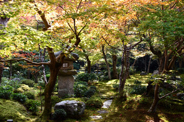 京都 圓光寺の十牛之庭