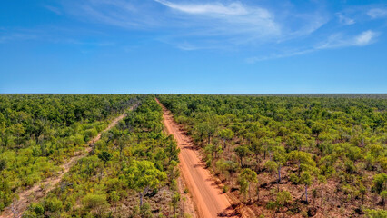 Fototapeta na wymiar Aerial view of dirt road and trees