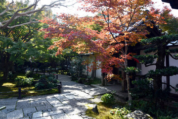 京都 圓光寺