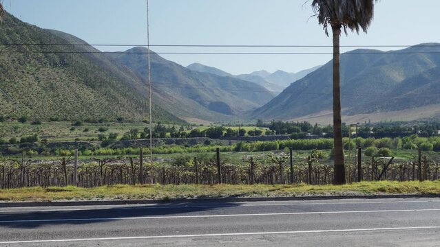 Vineyard Of Elqui Valley With Andes Mountain Range View Along The Road In Coquimbo Region, Chile. - Steady Shot