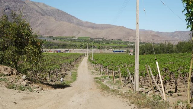 Countryside With Agricultural Farm In Valle de Elqui Near La Serena, Coquimbo Region, Chile. Pan Left Shot