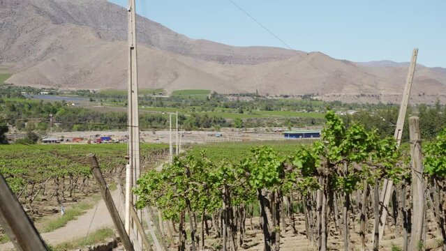 Cultivated Land In Valle del Elqui With Andes Mountains In Coquimbo, Chile. Pan Right Shot