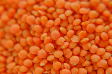 orange lentil grits.lentil groats background.Cereals and legumes.bean groats