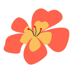 Hibiscus flower illustration for design element