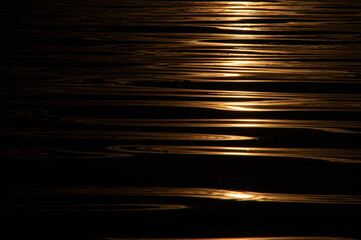 さざ波の水面に反射する黄金色の光に影が黒い