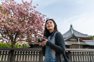 asian Japanese female photographer admiring natural beauty while traveling to Kofuku-ji temple in nara japan with pink cherry blossom at background under blue sky