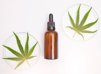 Medicine, natural and oil with leaf of cannabis on white background for health, wellness and treatment. Medicinal marijuana, organic healthcare and cbd oil serum or extract for traditional healing