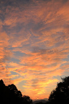 夕焼け