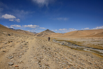 Fototapeta na wymiar Trekking the high barren plateau and passes of the Changthang enroute to Tso Moriri, Ladakh, Indi