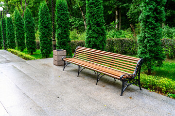Wooden park bench in the park beautiful colorful park.