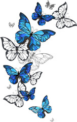 Flying Butterflies Morpho