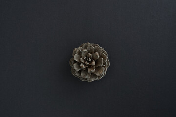 Pine cone on a black background, top view, copy space