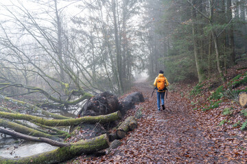 Daher Felsenland in der Pfalz. Wandern im Herbst. Karlstalschlucht bei Trippstadt