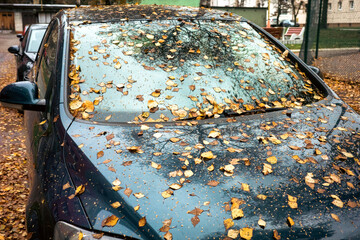 Parked car covered by leaves from tree in autumn