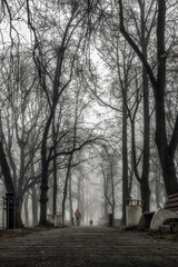 A man walking a dog in foggy autumn park in the morning
