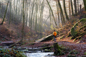 Pfalz im Herbst