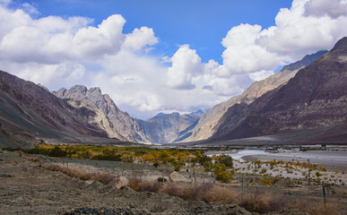 Fall colors in the Karakoram Mountains, Hundar, Nubra Valley, Ladakh, India