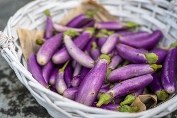 Freshly harvested eggplant. Eggplant, aubergine, brinjal, or baigan is a plant species in the nightshade family Solanaceae. Solanum melongena is grown worldwide for its edible fruit. 