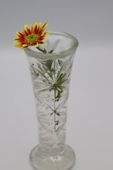 花瓶に飾られた菊の花